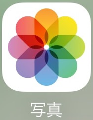 iPhone 写真アプリ